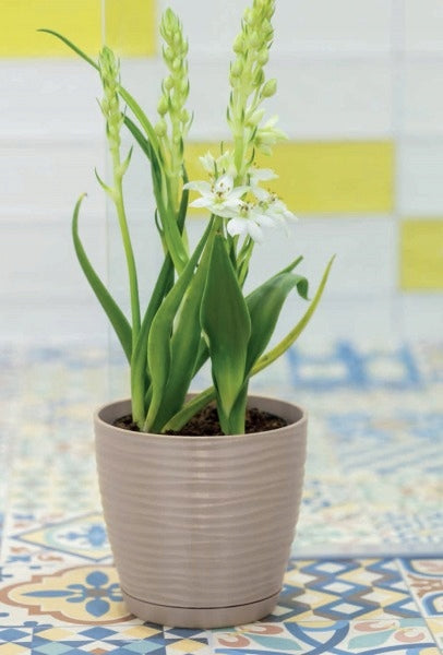 SAHARA FLOWER POT WITH STAND, diameter. 23CM GRAPHITE MAT Form-plastic EAN (GTIN) 5907474352190