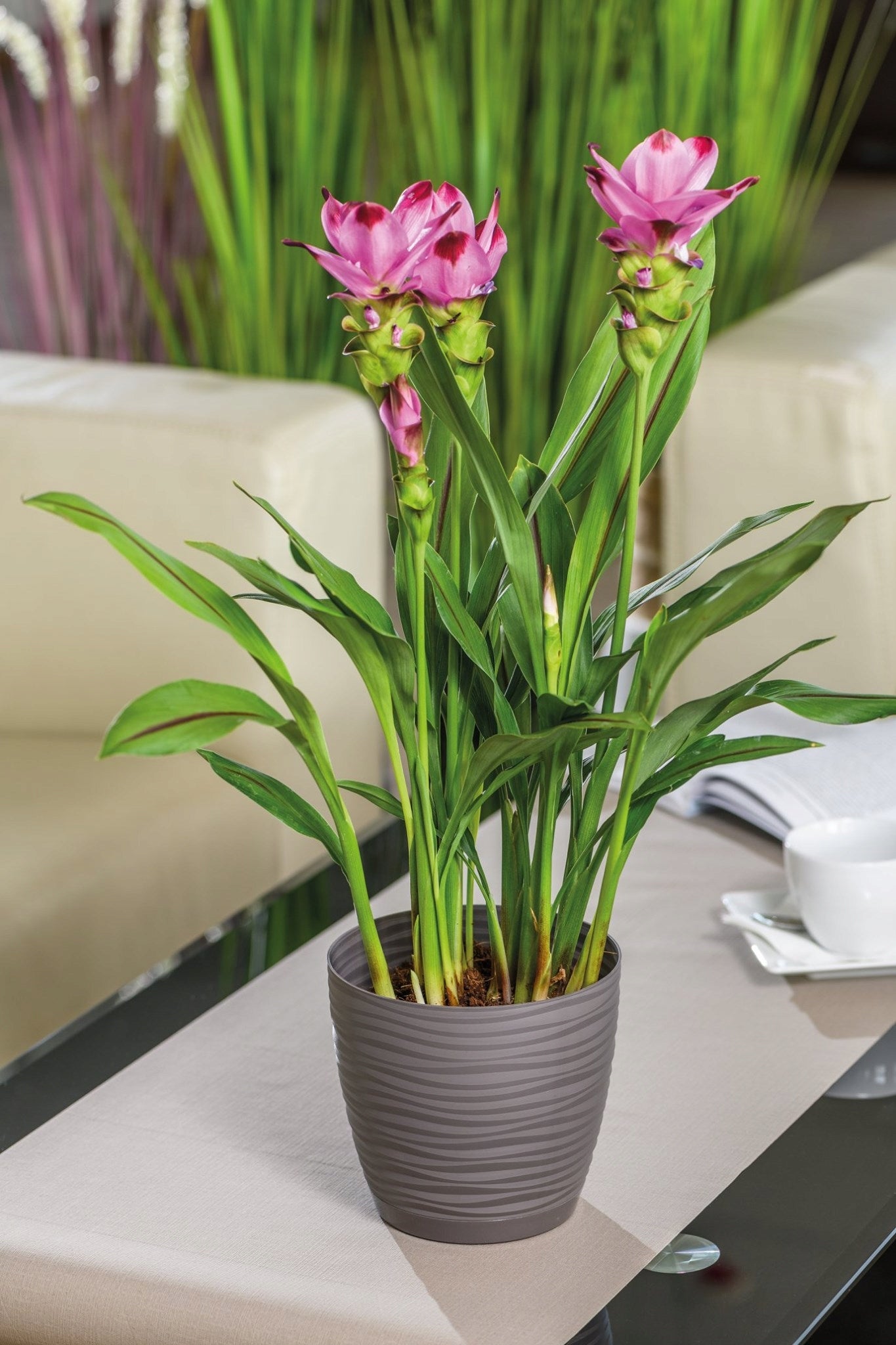 SAHARA FLOWER POT WITH STAND, diameter. 23CM GRAPHITE MAT Form-plastic Material synthetic material
