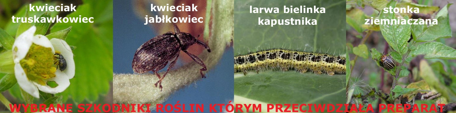 SBM DECIS DELTAM 100ml 015EW PESTS APHIDS Manufacturer code AongBenis