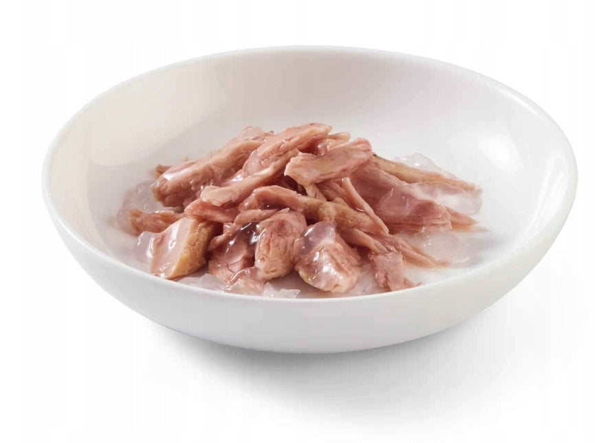 SCHESIR WET CAT FOOD CAN TUNA IN JELLY WITH ALGAE 70g Brand Schesir