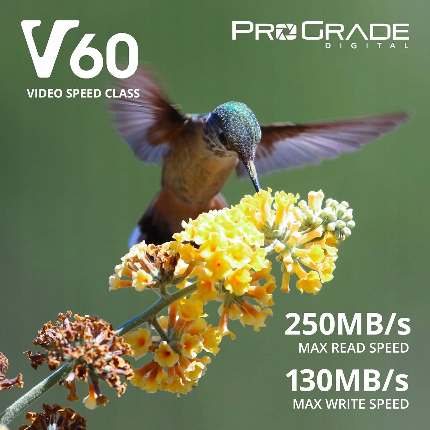 SDXC card 128GB ProGrade Digital write speed 130MB/s read 250MB/s Manufacturer ProGrade