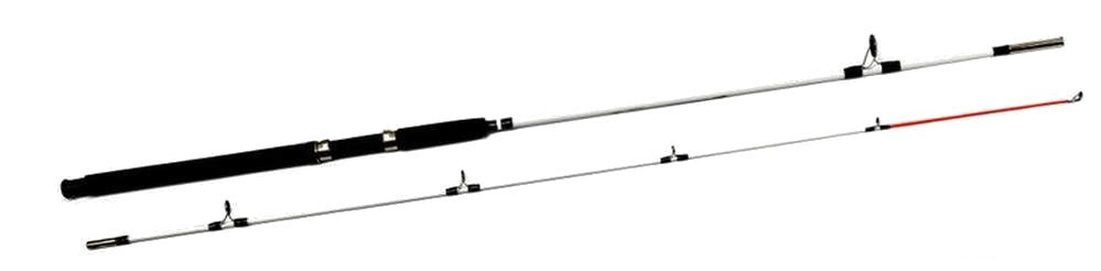 SEA COD FISHING ROD 100-250 g 2,4m FULL FIBER