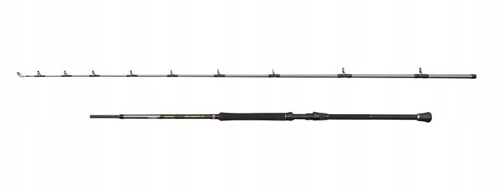 SEA FISHING ROD PENN REGIMENT IV BOAT BRAID 249/12-20LB