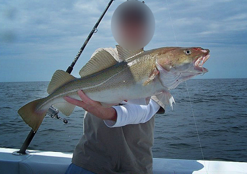 SEA ROD MISTRALL ZINO PILK 2,40m / 80-150g Total length 240 cm