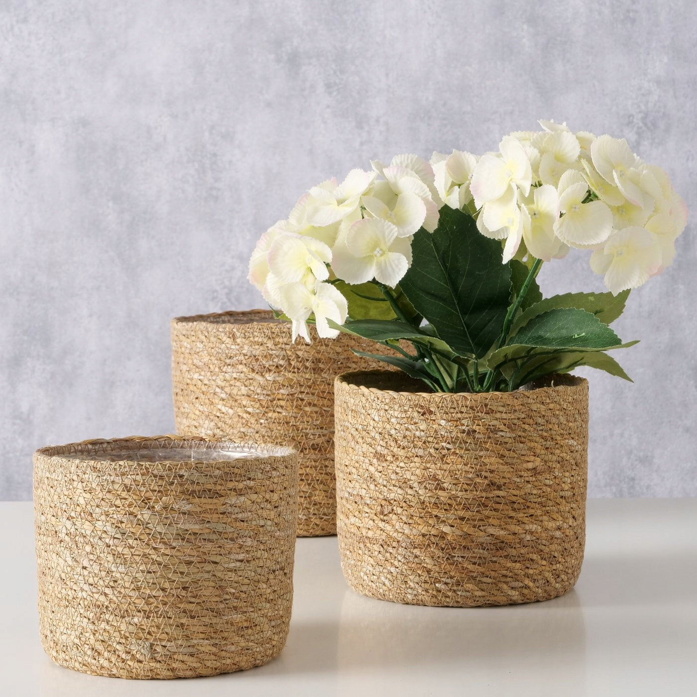 SEAGRASS POT COVERS SOPHY SET OF 3 PIECES 19 X 16 CM Maximum width 19 cm