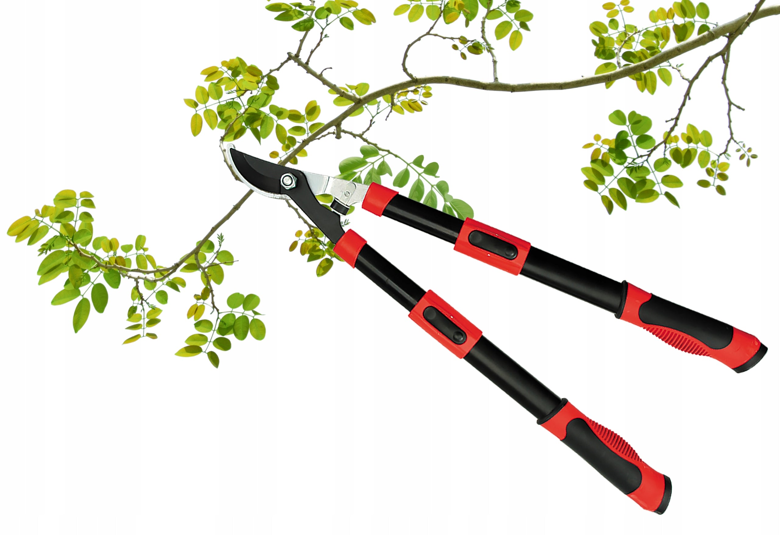 Sekatorius šakoms teleskopinėmis rankenomis 650-900mm Yato (YT-8839)