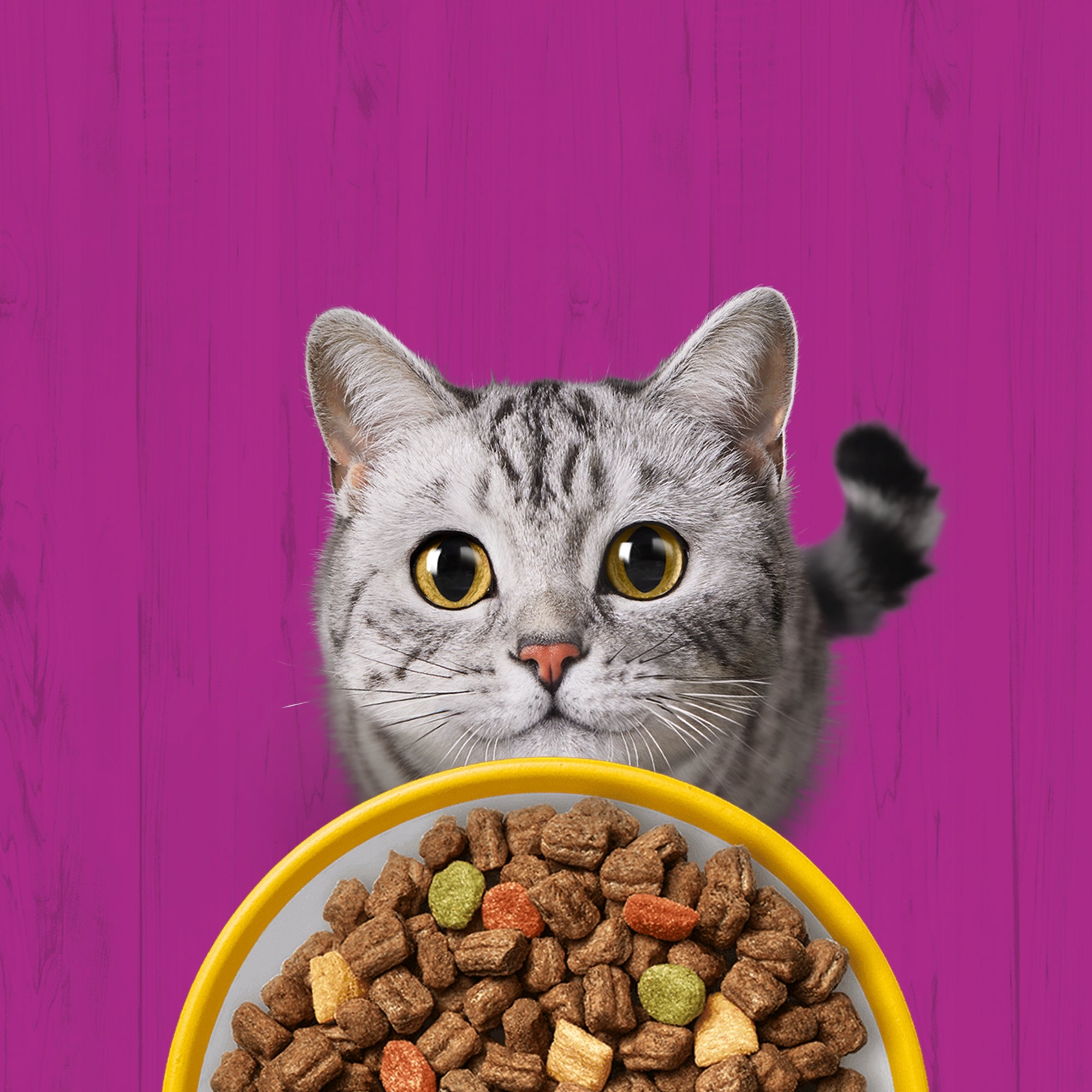 SET OF 3X WHISKAS STERILE WITH DELICIOUS CHICKEN - DRY CAT FOOD 3,8KG Brand Whiskas