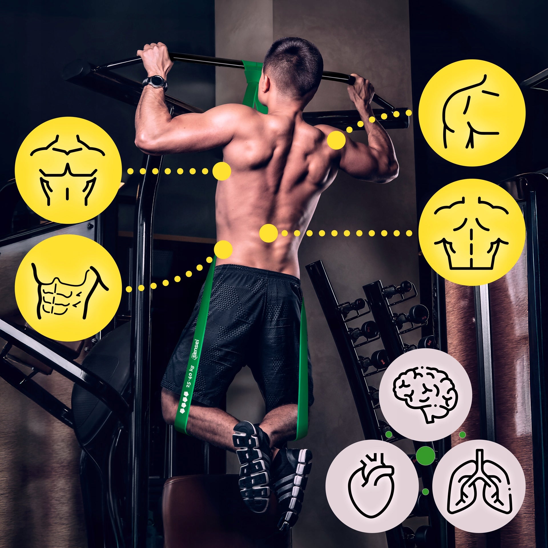 SET OF 5 RUBBER POWER BAND + HANDLE, Resistance Exercise Tapes, Pull-Ups Brand Sensei