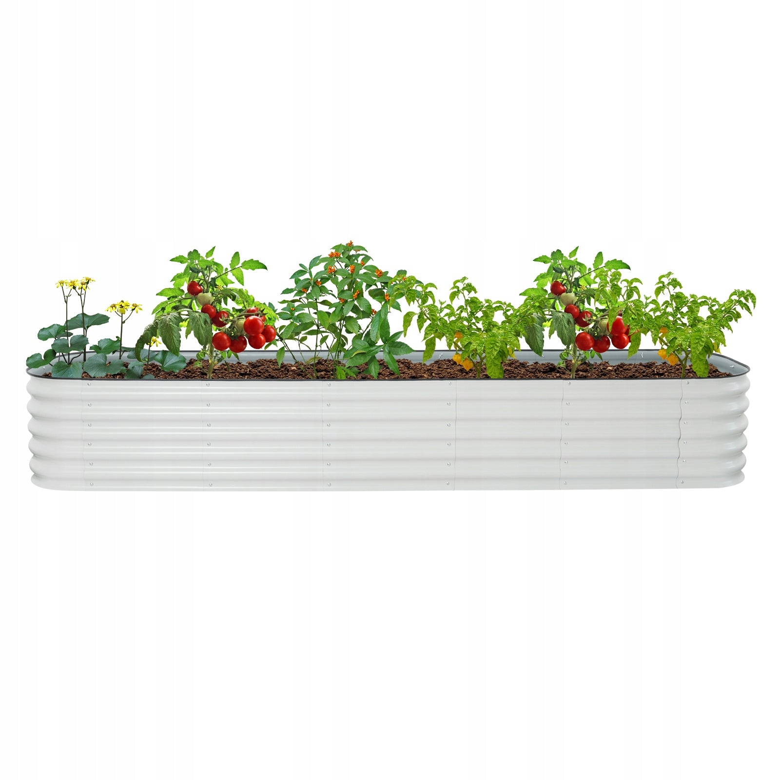 SET OF METAL CRATE FOR PLANTING AND RAISED GARDEN BED