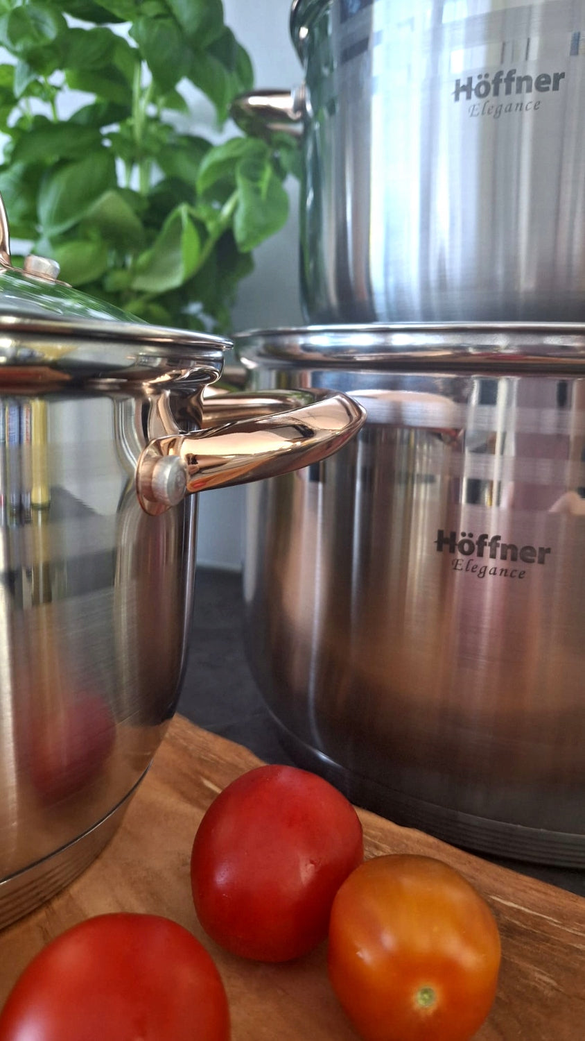 SET OF POTS INDUCTION / GAS POTS STAINLESS STEEL SET 8 ELE Color silver