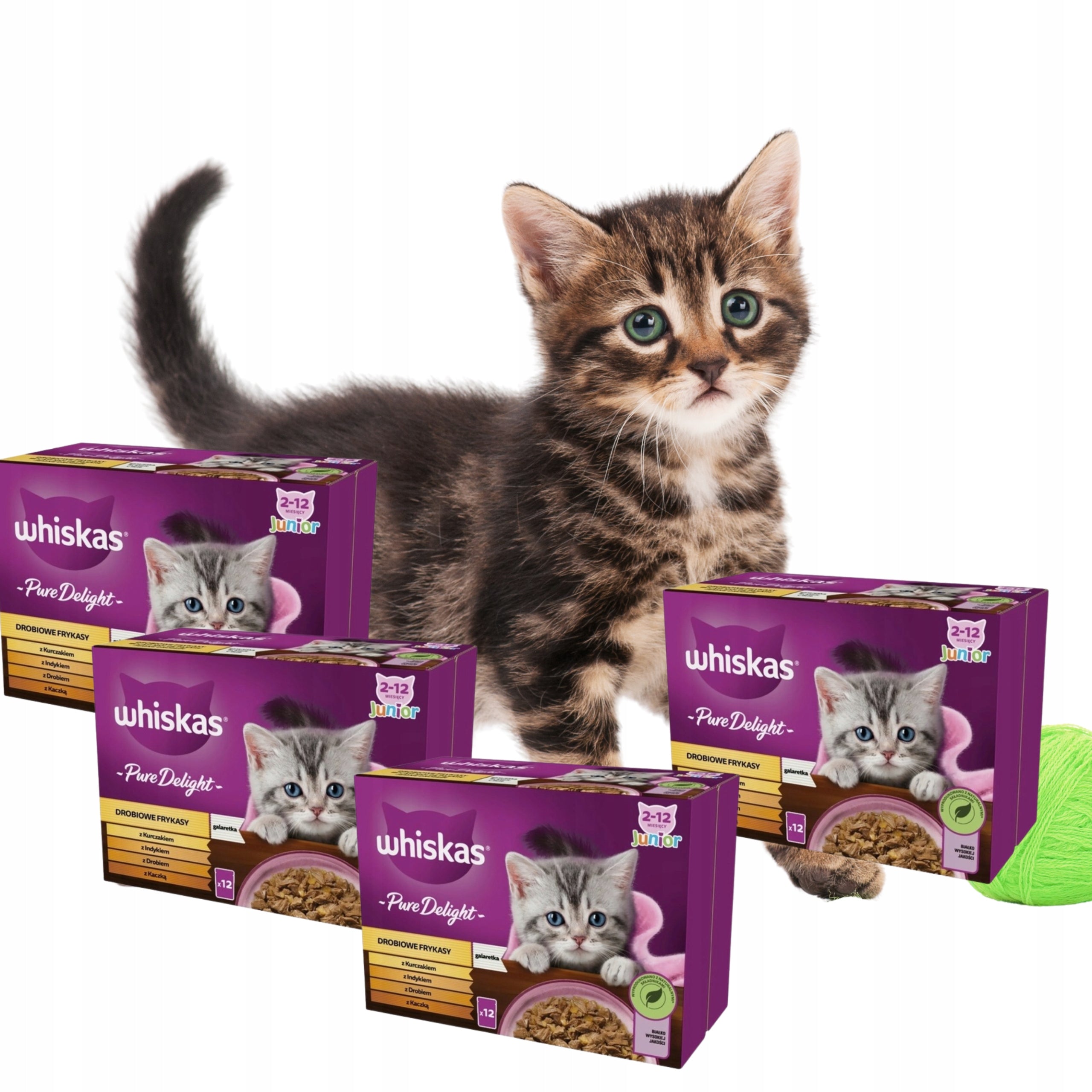 SET Whiskas Poultry sachet Frtkasy JUNIOR 84x85g kitten box Manufacturer code 5900951302343