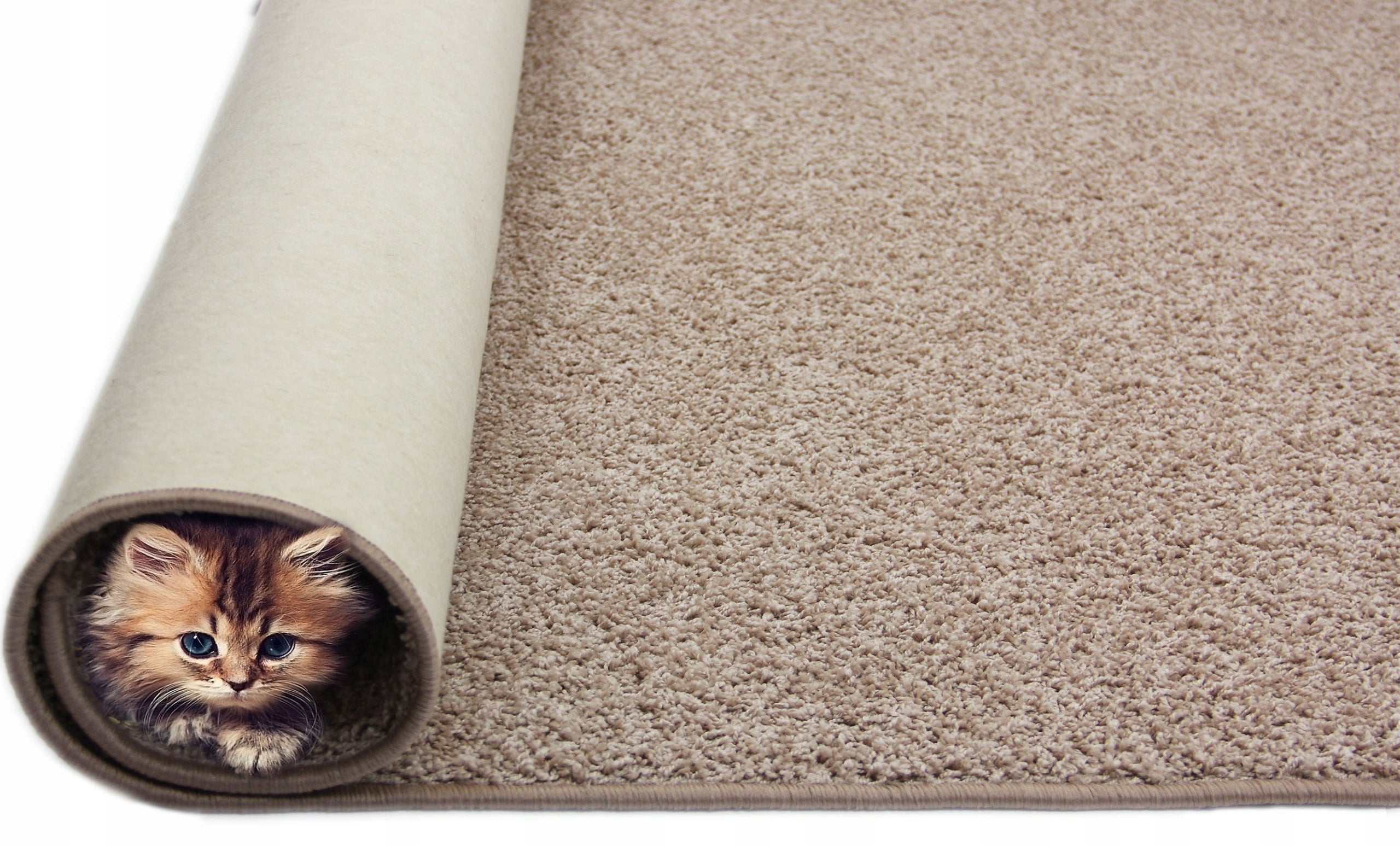 SHAGGY CARPET 200X250 BEIGE THICK SOFT CARPET FOR THE LIVING ROOM Length 250 cm