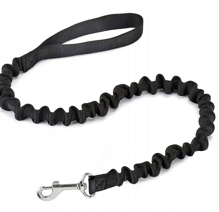 SHOCKING DOG LEASH FOR A PUTTING DOG SHOCKER FOR TRAINING Manufacturer code SM-AM-CZ