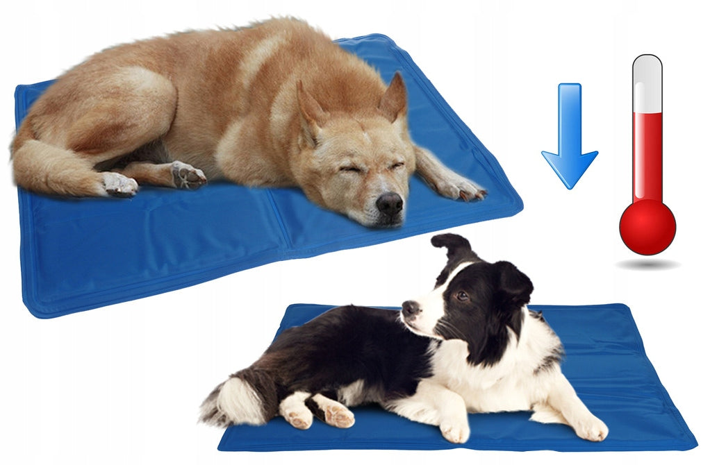 SMALL COOLING MAT FOR CAT DOG Poland 52x52 cm Color blue