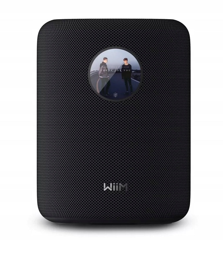 SMART SPEAKER MULTIROOM WiiM SOUND BLUETOOH 5.3 WIFI 6 REMOTE CONTROL Model other