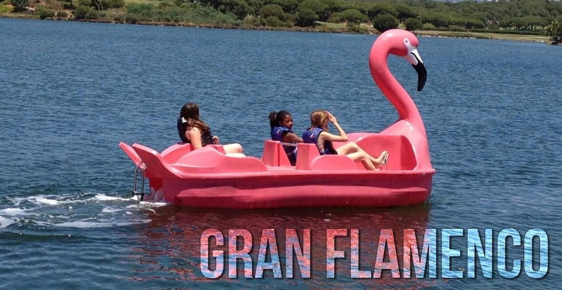 SOLID FLAMINGO WATER BIKE FOR 4 PEOPLE FOR RENTAL WITH WHEELS Number of seats 4