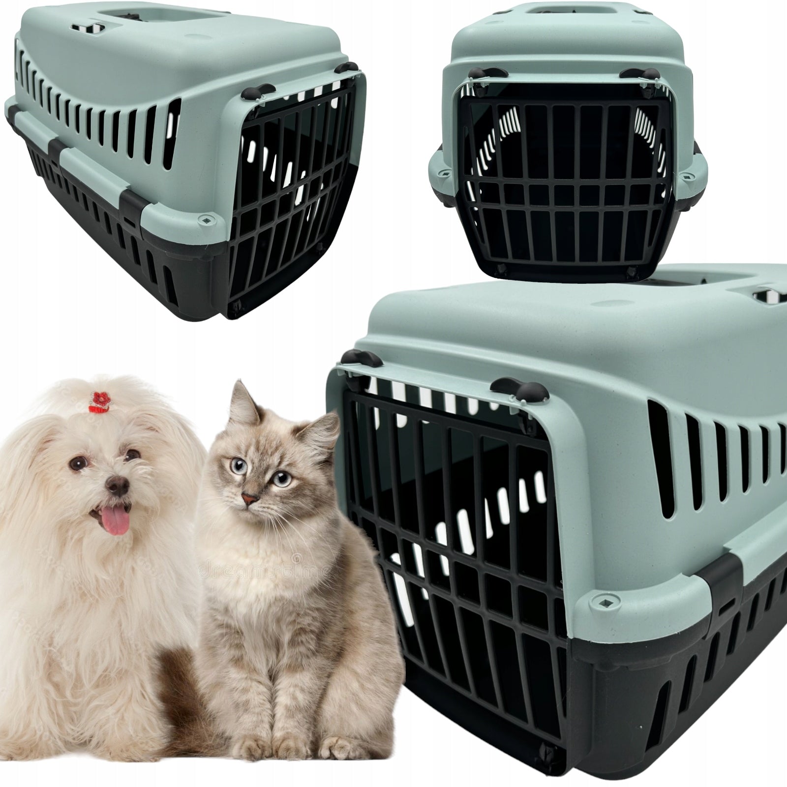 SOLID Transporter For Dog Cat Rabbit Gypsum ECO L Plastic color ICE-BLUE