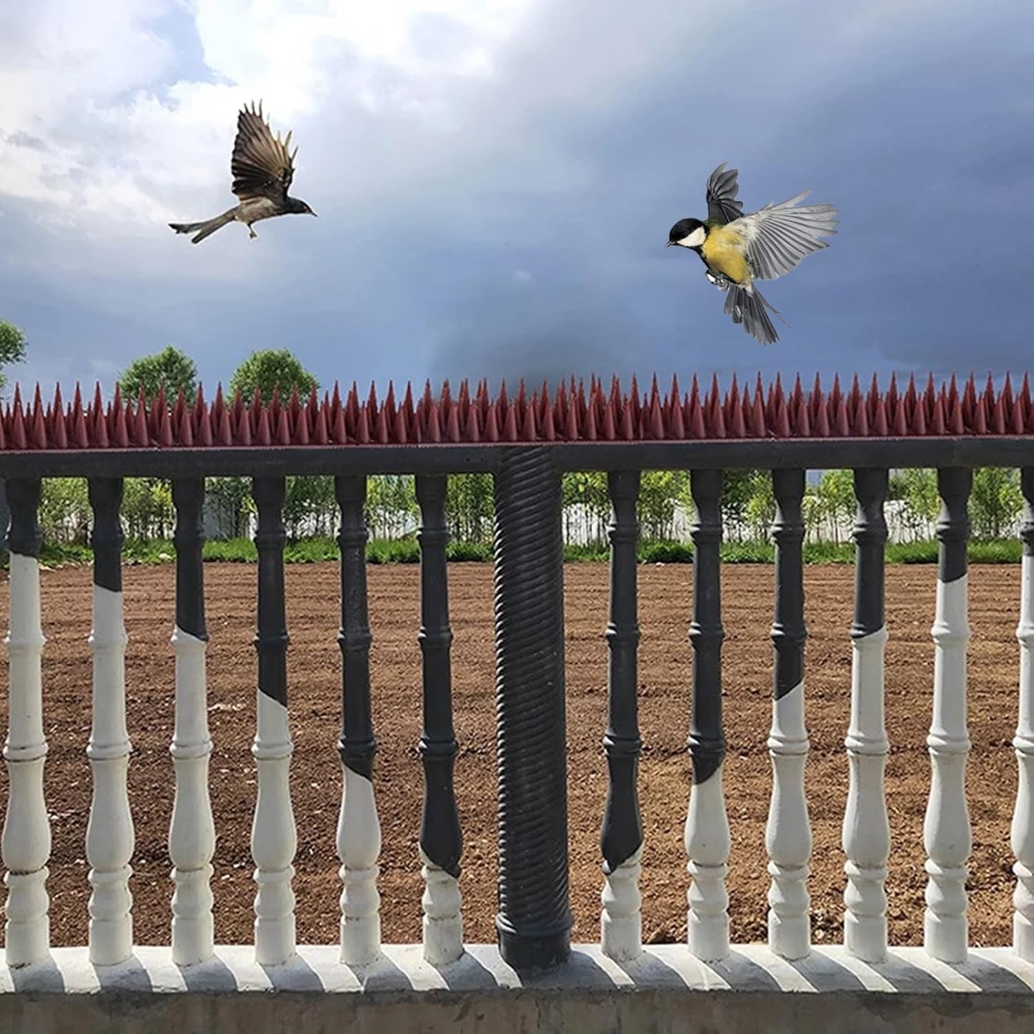 SPIKES for Birds, PIGEONS Ravens sparrows SMALL ANIMALS cats martens Strip, 1PC. Brand Martom
