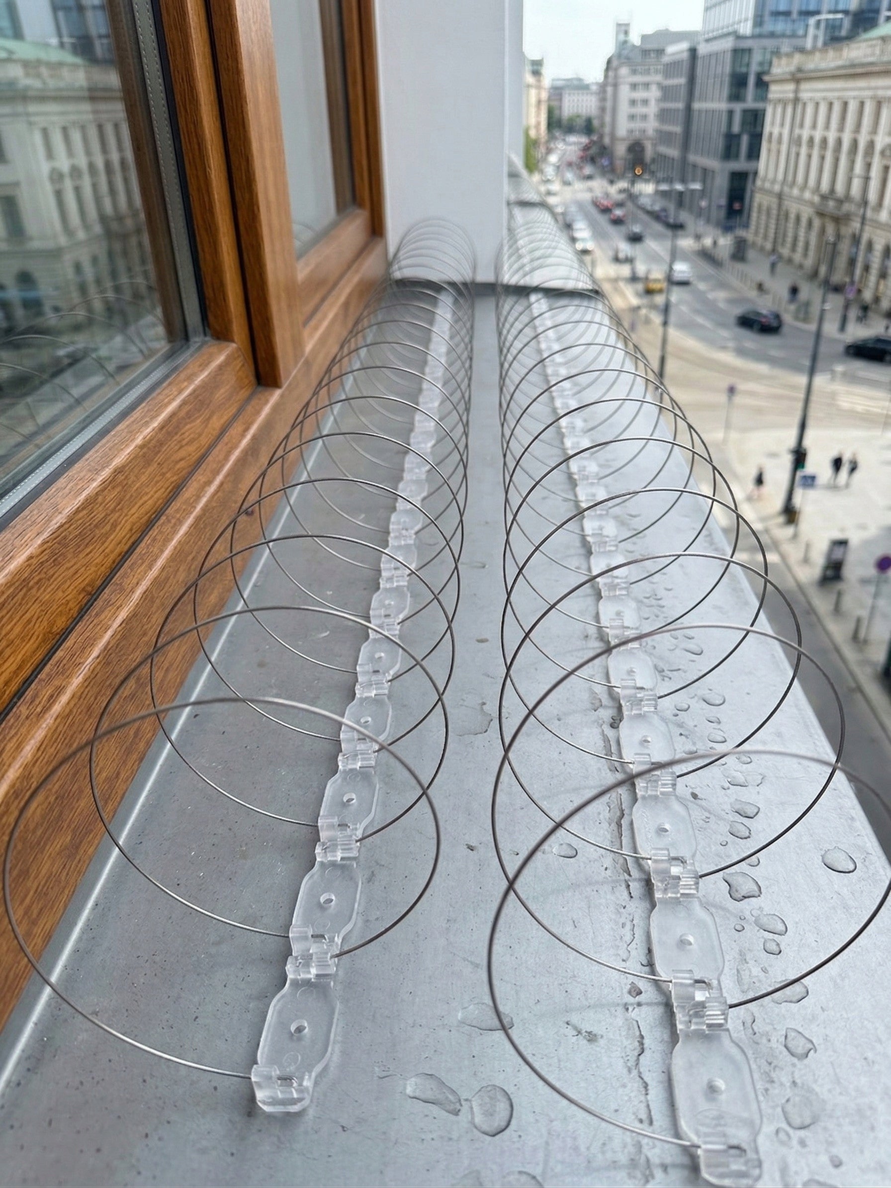 SPIRAL FOR BIRDS AGAINST BIRDS SPIKES PROTECTION AGAINST PIGEONS MANUFACTURER O10 Kind spikes