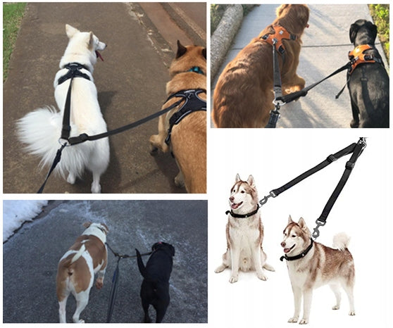 SPLITTER Strong two-piece LEASH FOR 2 DOGS 25mm Kind coupler