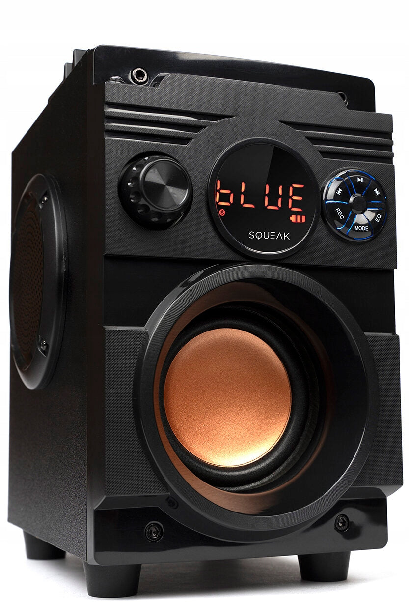 SQUEAK BassBlaster SQ1001 18W BT AUX USB SD Black Batteries included no