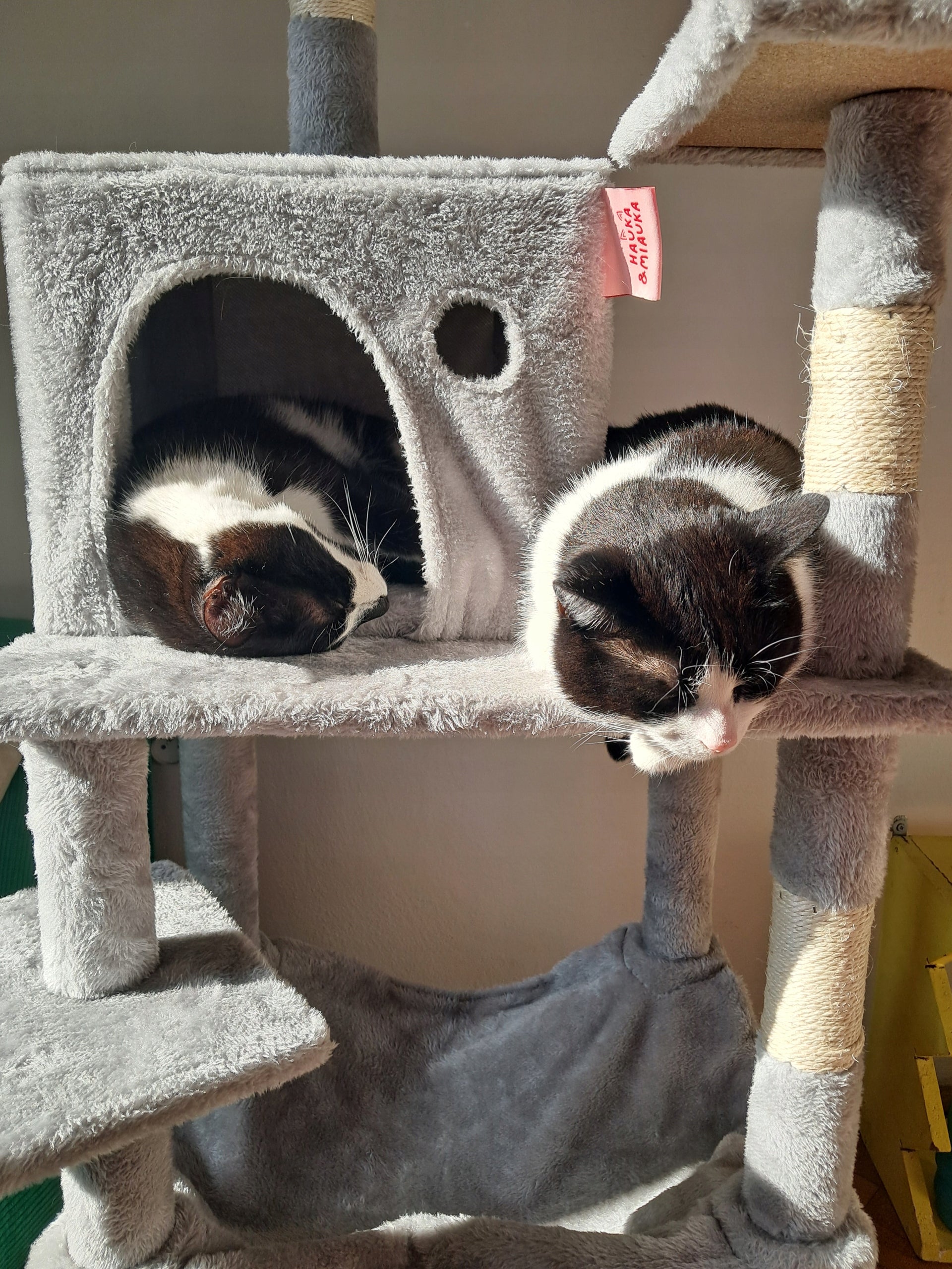 STABLE CAT SCRATCHER XL 145cm HIGH Tower Cottage Hammock Post Sizal Manufacturer code SZ-DR-OS-003