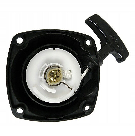 STARTER JERKY STRONG STARTER EUROTEC GT110
