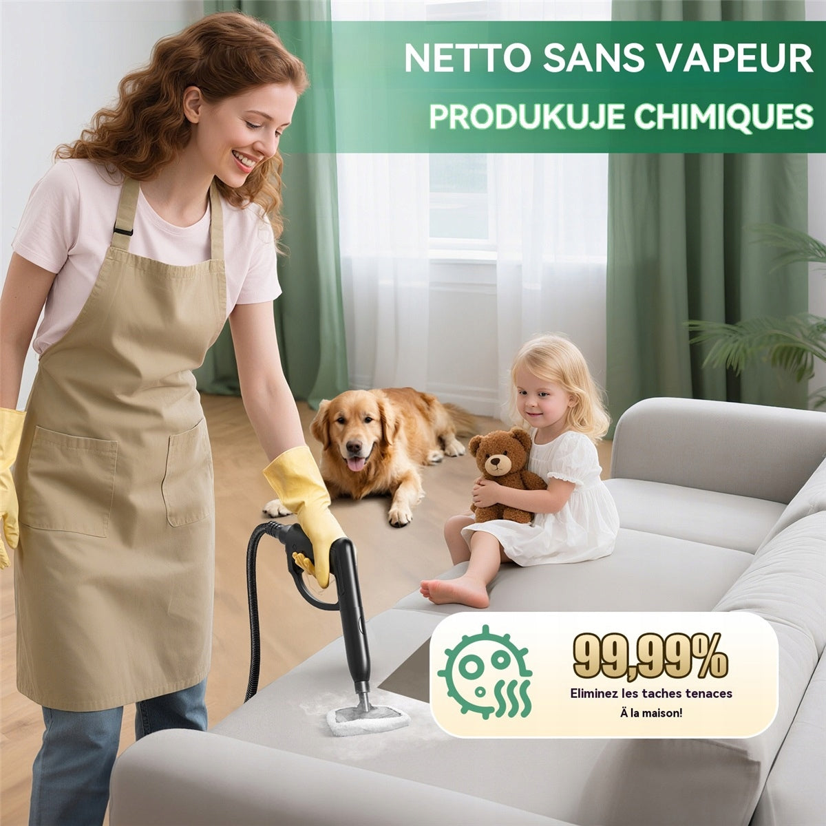 STEAM CLEANER 2000W 4BAR 2L 40MIN SET OF NOZZLES FOR CAR SOFA FLOORS Model MYJKA PAROWA PAROWNICA