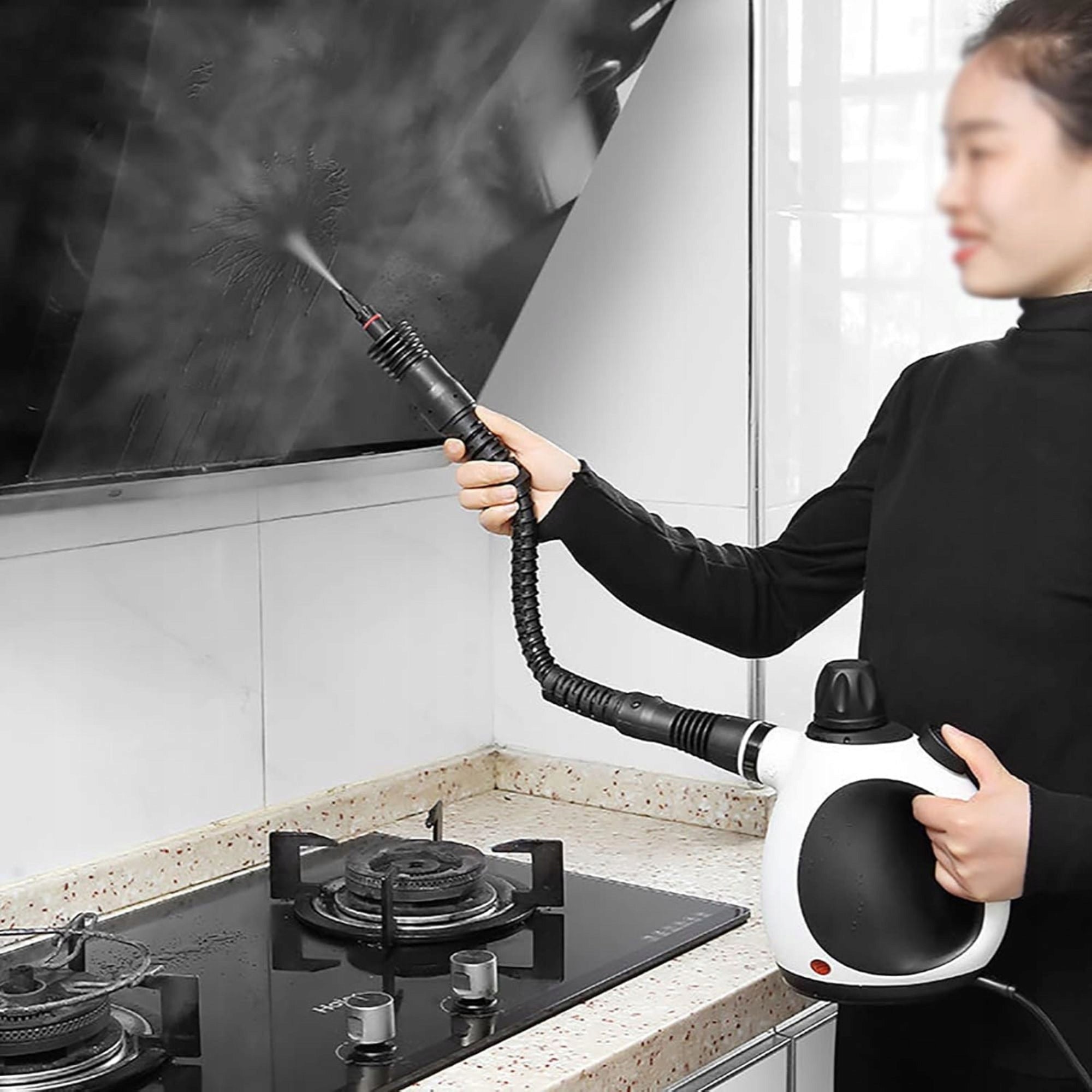 STEAM CLEANER FOR CLEANING AND DISINFECTION WITHOUT CHEMICALS EAN (GTIN) 8034001342571