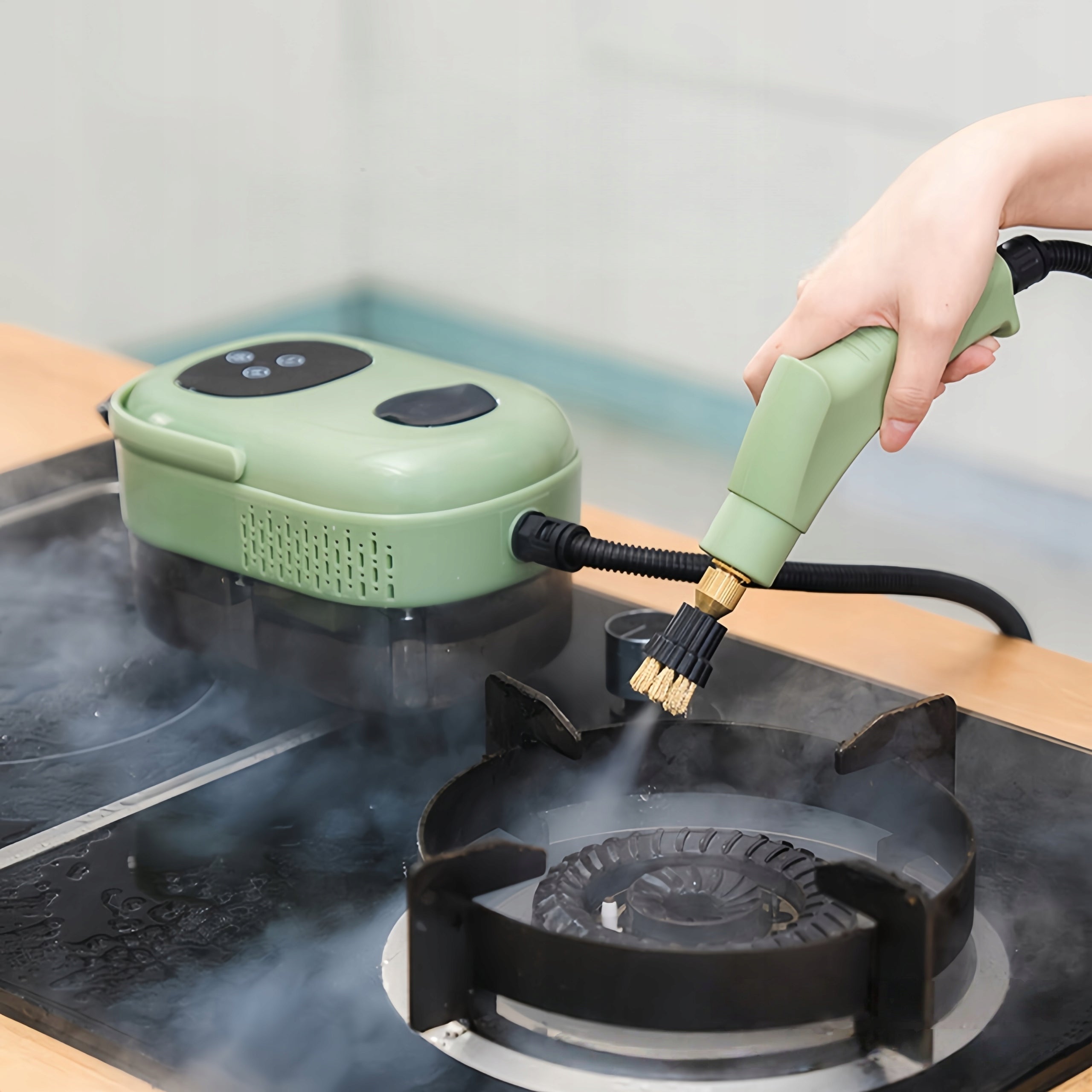 STEAMER 2500W STEAM CLEANING WITH 6 SPEEDS+3 TIPS 1100ML POWERFUL Dominant color green