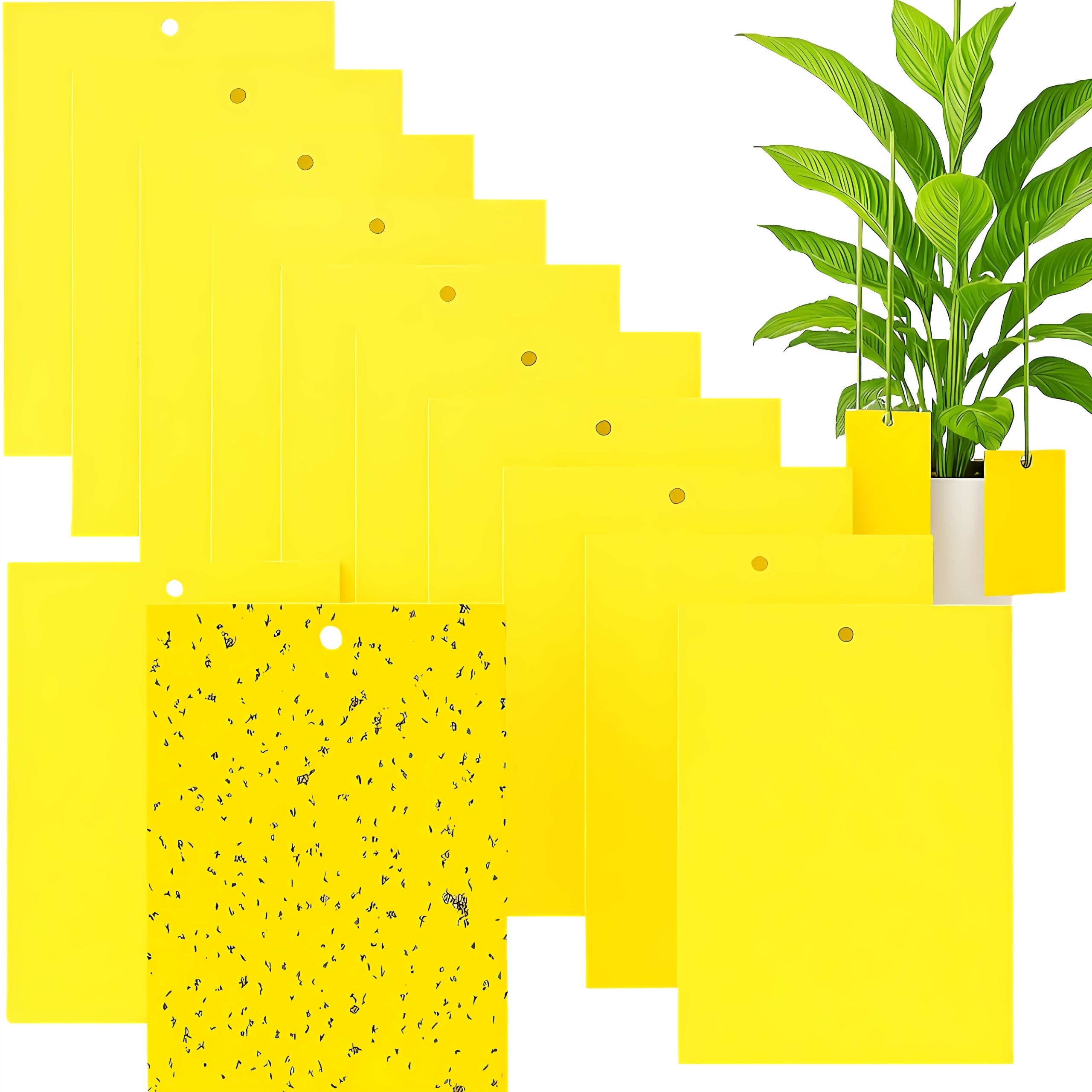 STICKY YELLOW FOR EARTHWORMS INSECTS FRUIT FLIES FOR POTS SET OF 20PCS