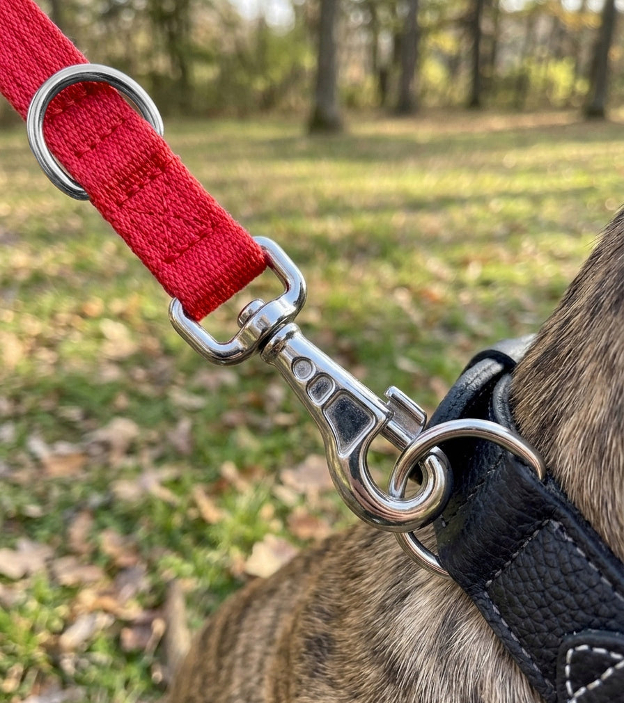 STRONG ADJUSTABLE LEASH FOR BIG DOG DETACHABLE FOR TRAINING DURABLE 3m Kind detachable