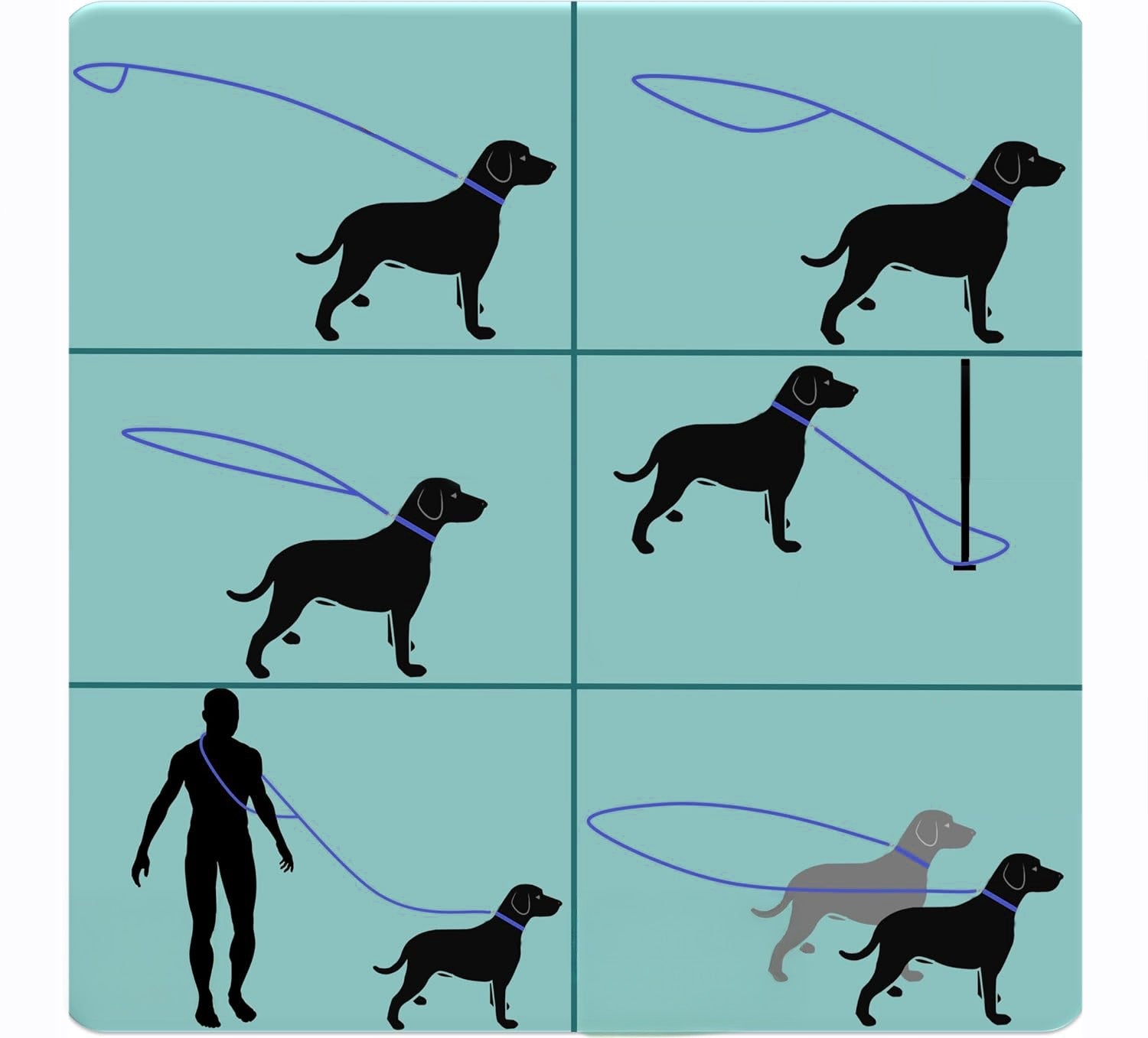 STRONG ADJUSTABLE LEASH FOR BIG DOG DETACHABLE FOR TRAINING DURABLE 3m Material tape