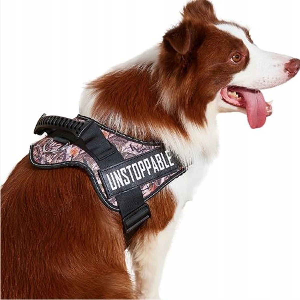 STRONG DOG HARNESS TRAINING BREATHABLE HANDLE FOR LEARNING TO WALK -L- Packaging status original