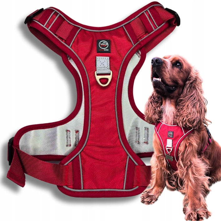 STRONG GUARD HARNESS for big dog BOSTON XL RED red wine