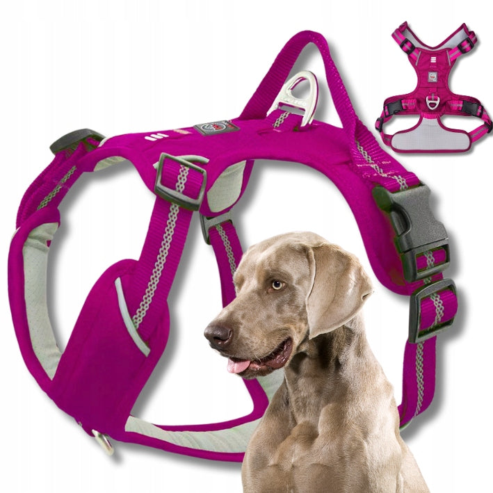 STRONG HARNESS GUARD for big dog ADVENTURE comfortable PREMIUM purple XL