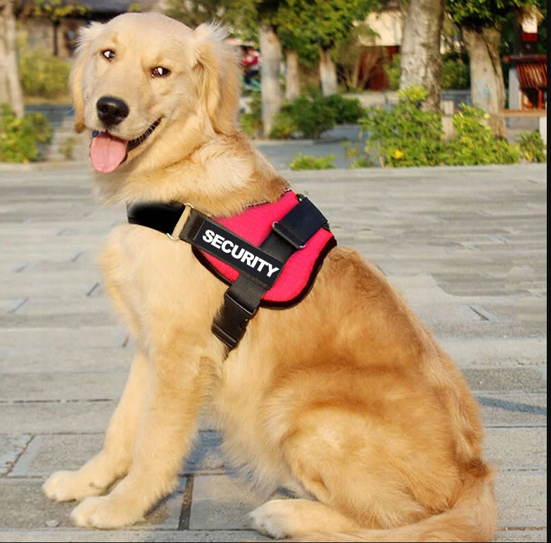 STRONG PRESSURE-FREE DOG HARNESS M 50-62 + ENGRAVING Brand Reverse