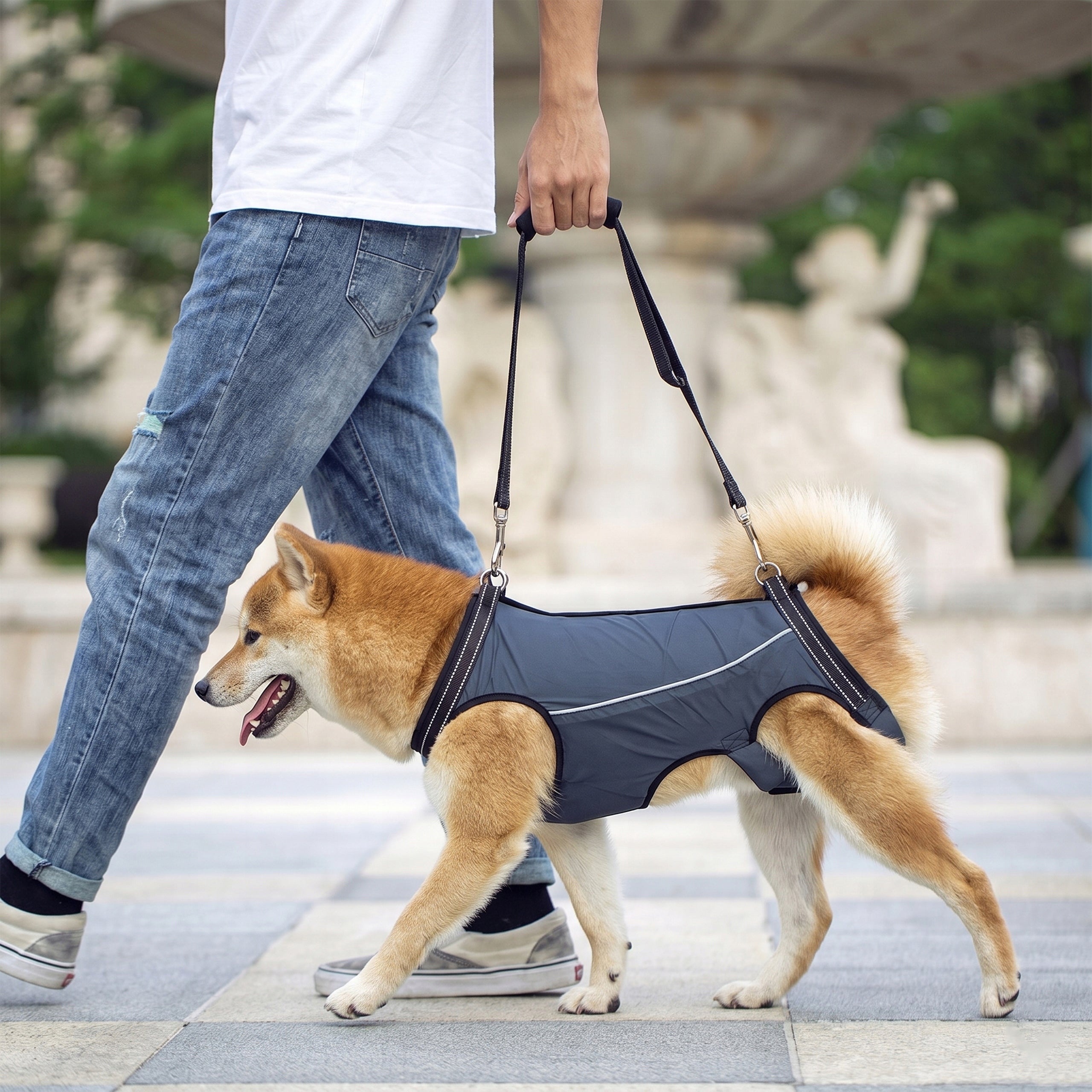STRONG REHABILITATION HARNESS FOR DOG CARRIER LIFTING HARNESS S Manufacturer code Uprząż Wspomagająca