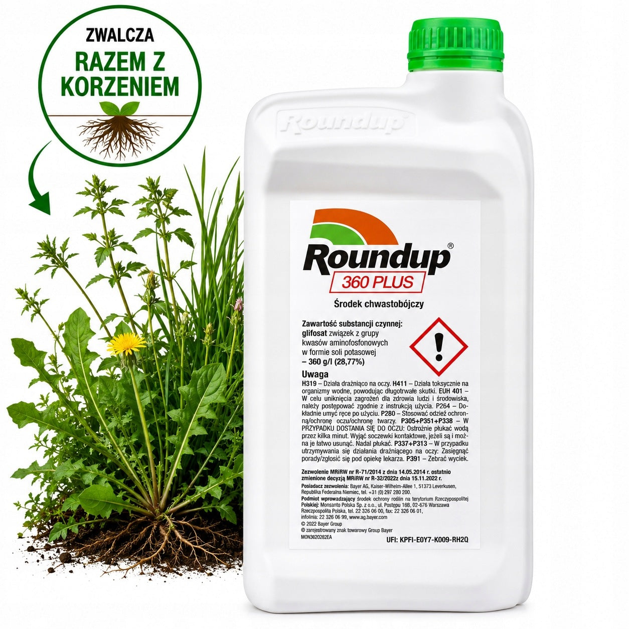STRONG ROUNDUP RANDAP 360 1L FOR WEED KILLER DESTROYS WEEDS