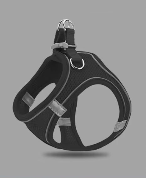 STRONG SUSPENDERS PRESSURE-FREE LEASH FOR SMALL CAT DOG DURABLE ROS. M