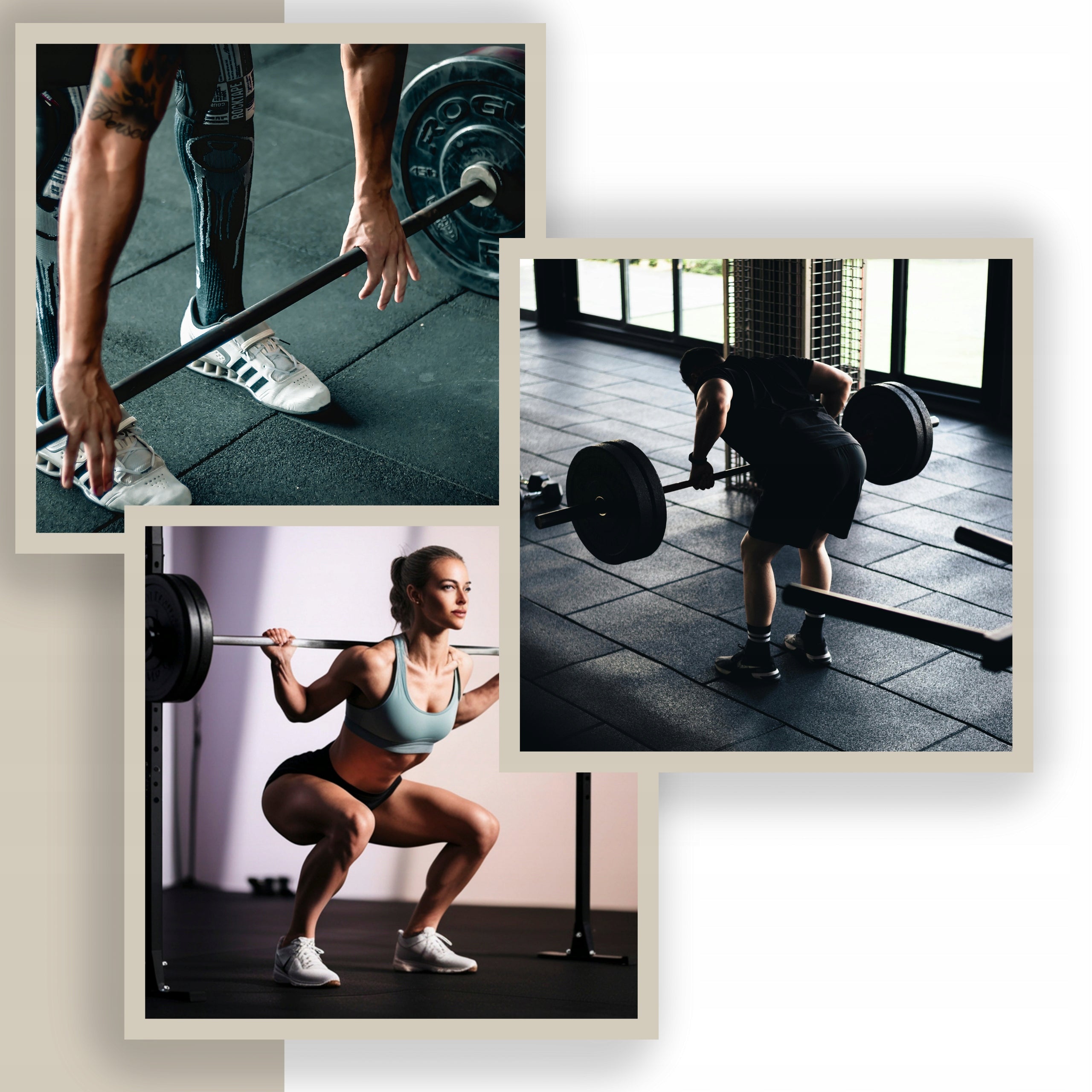STURDY Barbell Rack with Belay Two Piece Barbell Combined 280 kg Manufacturer code SA4
