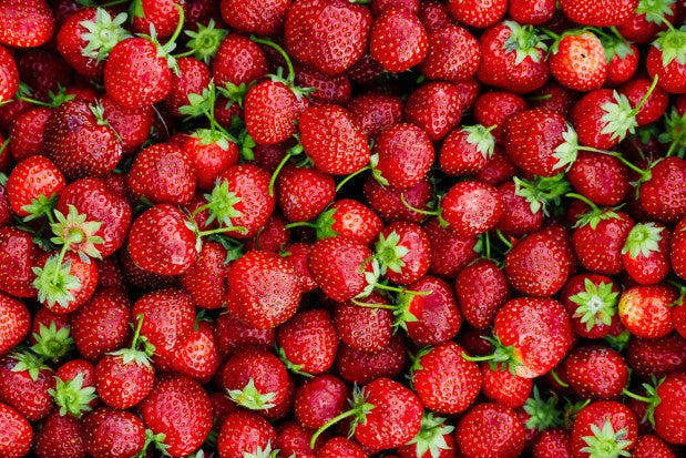 SUBSTRAL MAGIC STRENGTH 350g FOR STRAWBERRY STRAWBERRIES BERRIES Manufacturer Substral