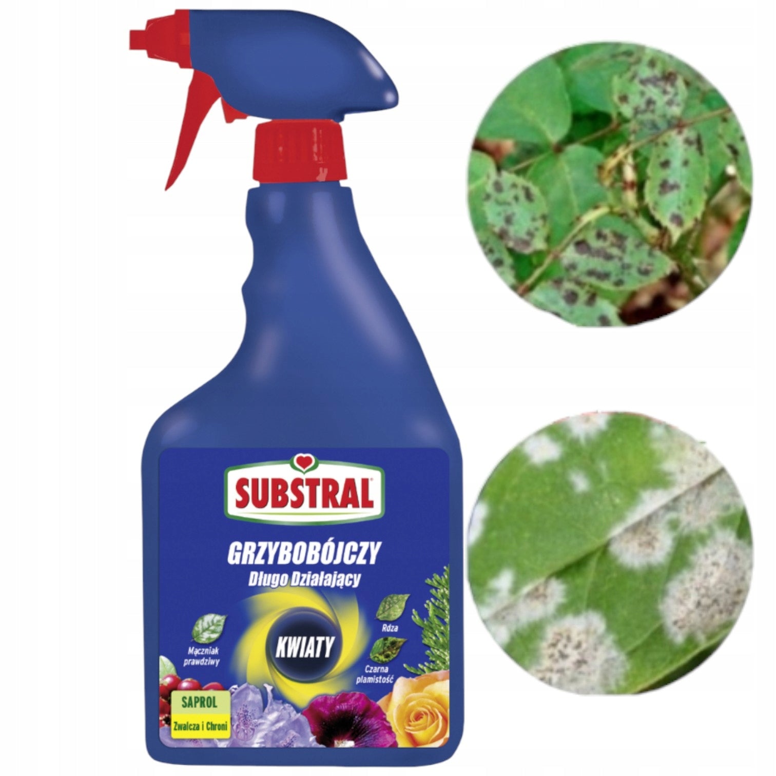 SUBSTRAL SAPROL 750ML PROTECTION FLOWERS ROSE YUCCA BONSAI FUNGICIDAL CONIFERS Manufacturer code 5907487102157