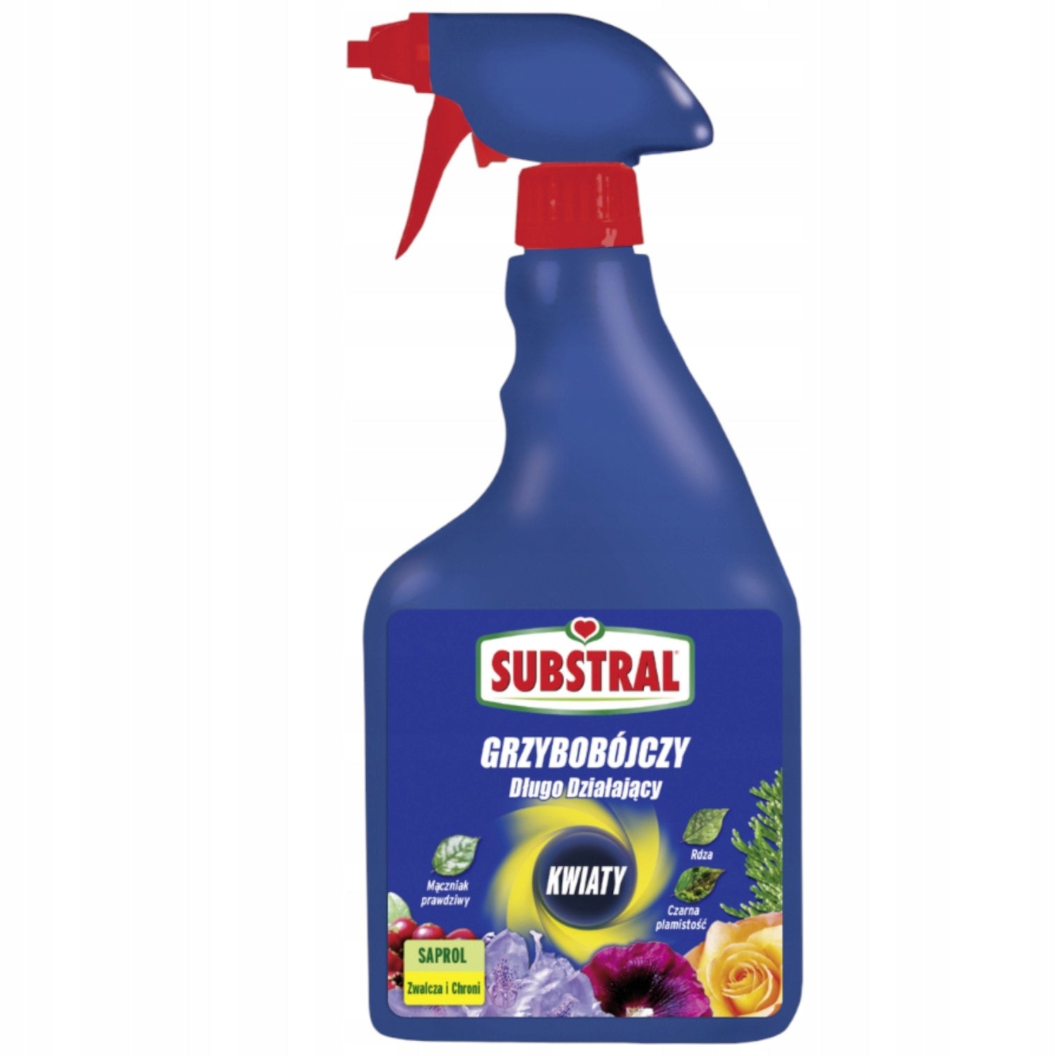 SUBSTRAL SAPROL 750ML PROTECTION FLOWERS ROSE YUCCA BONSAI FUNGICIDAL CONIFERS