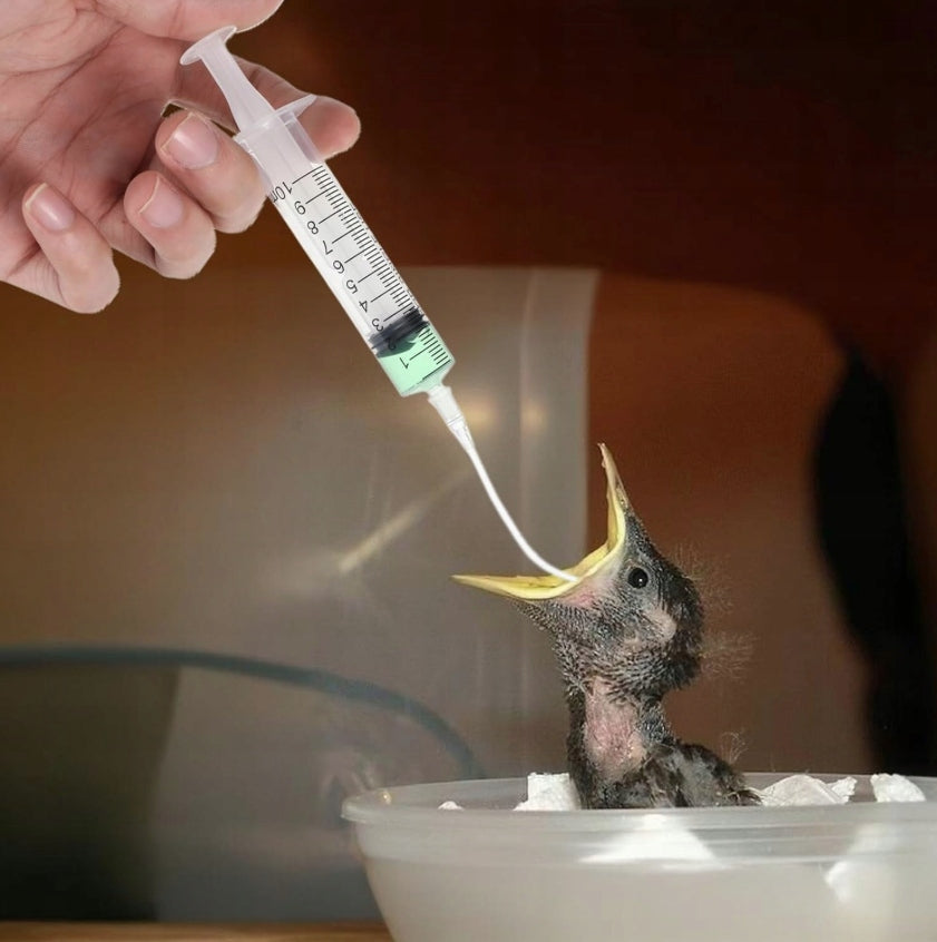 SYRINGES WITH TUBES FOR MANUAL FEEDING OF HEDGEHOG BIRD CHICKS Brand no brand