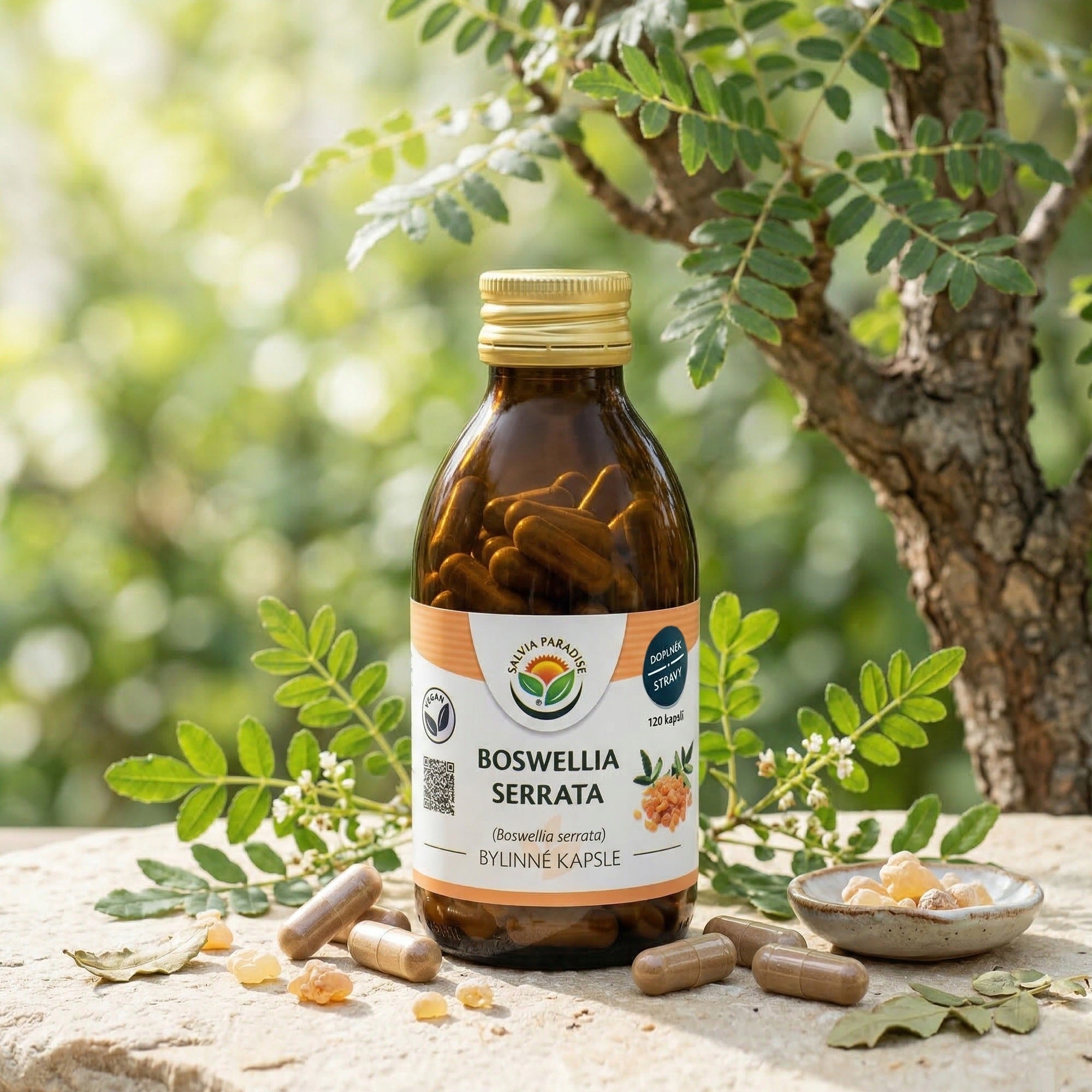 Salvia Paradise Boswellia serrata - Boswellia capsules 120 pcs. Brand Salvia Paradise
