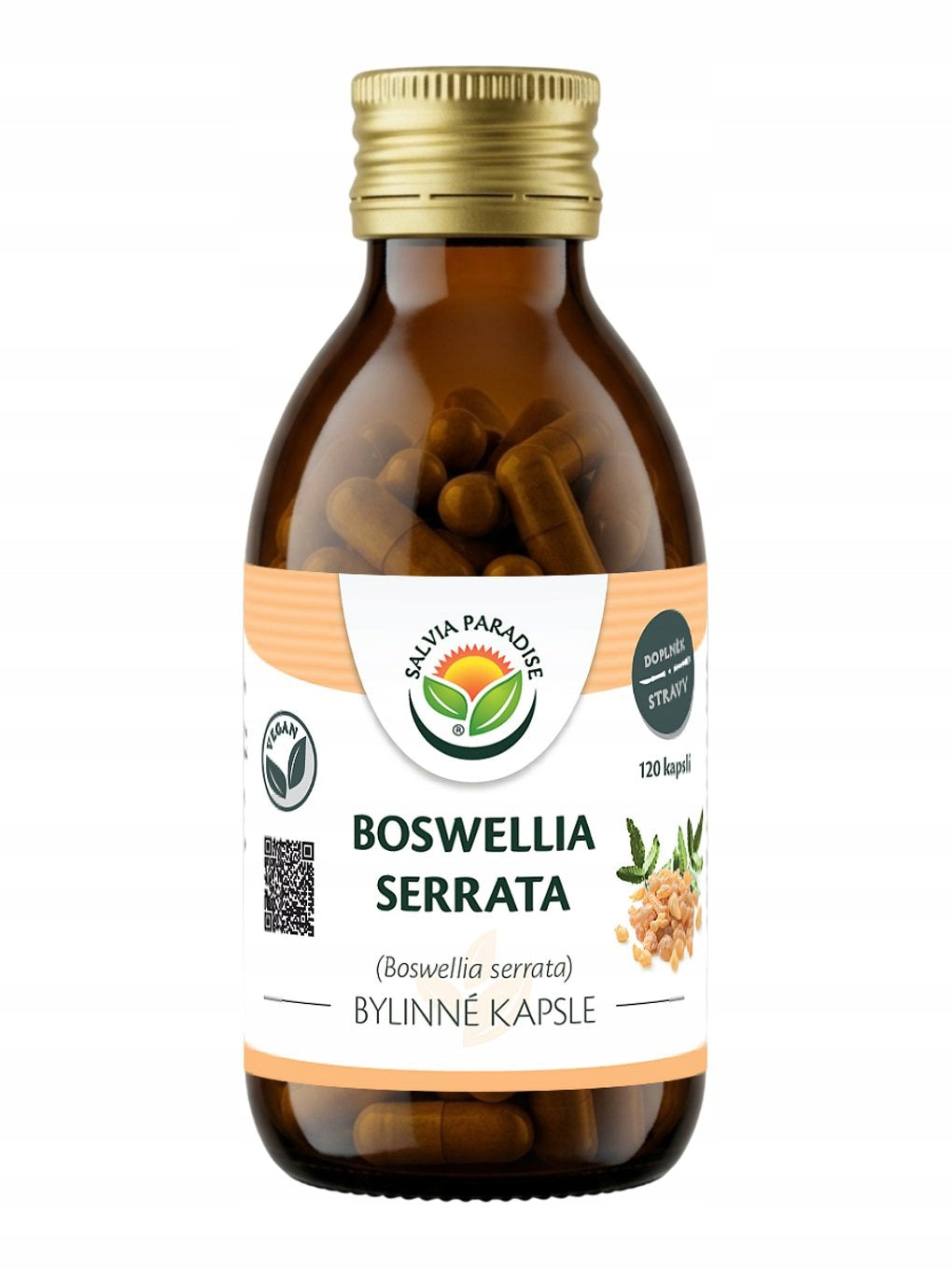 Salvia Paradise Boswellia serrata - Boswellia capsules 120 pcs.