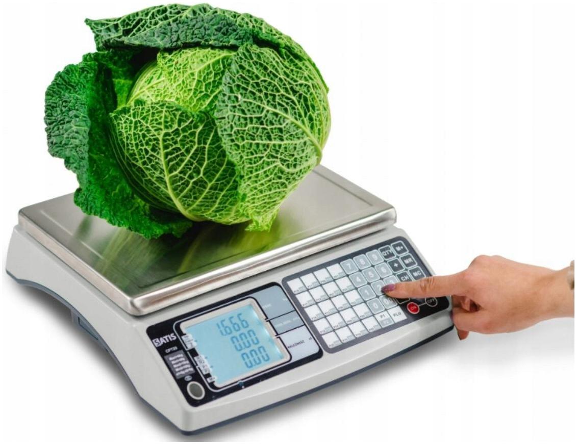 Scale with Legalization Shop Calculation 30kg / 15kg accuracy 10/5g RS232