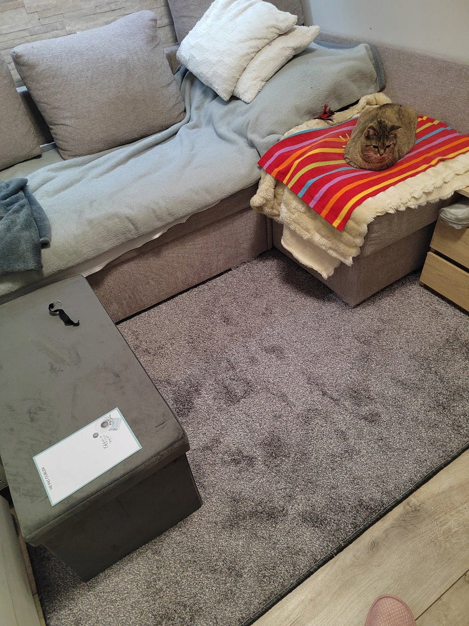 Scandinavian Carpet Grey Soft 160x230 VELVET Living Room Stain Resistant