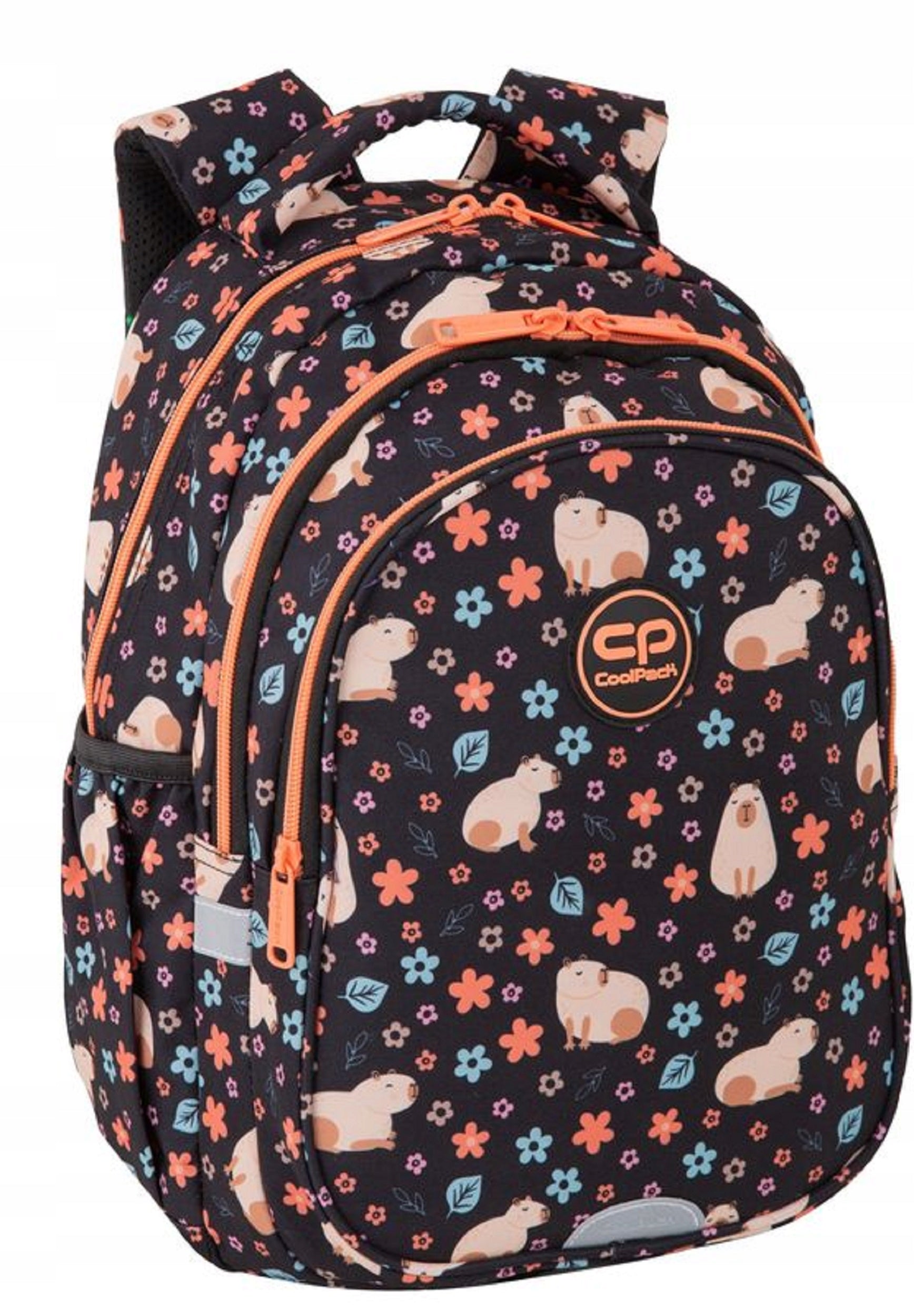 School backpack Coolpack for first class for girl capybara +plan